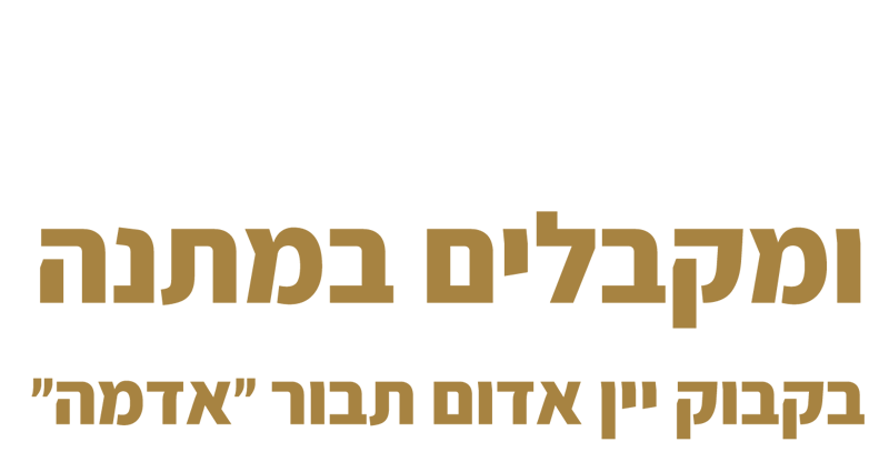 mobile-offer-text-800