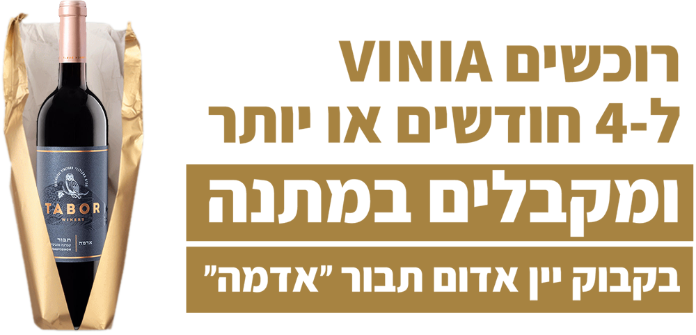 wine-shop-offer-1000