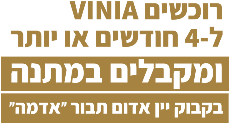 wine-shop-offer-text-736