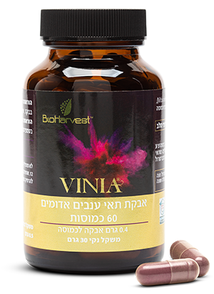 VINIA Bottle with Capsules