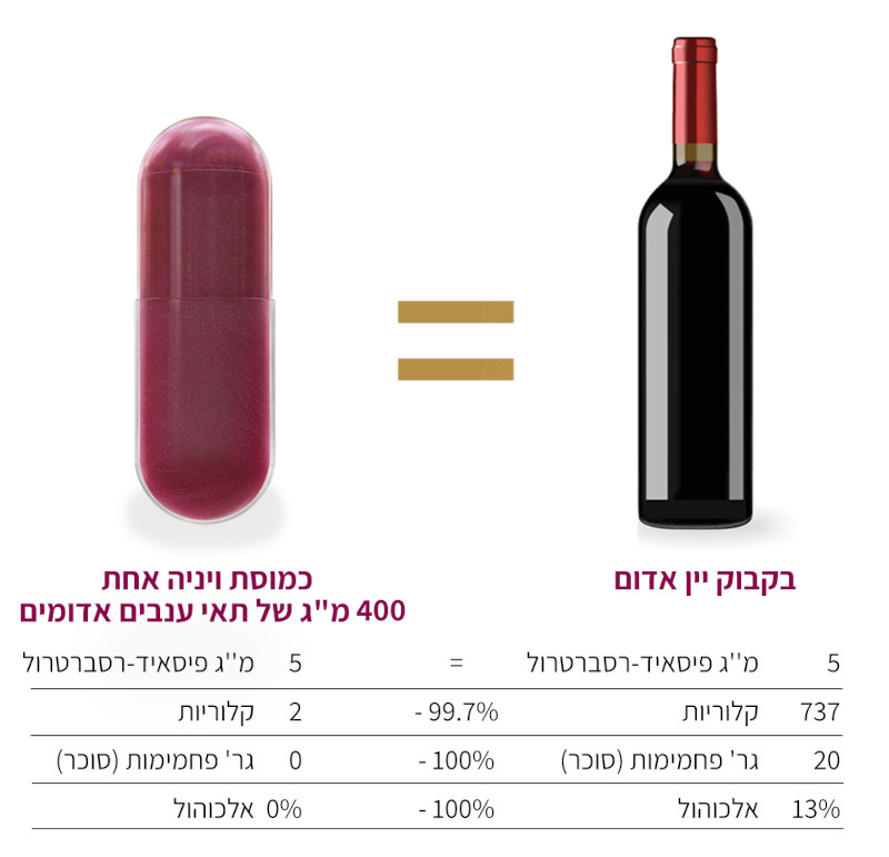 VINIA cap vs wine