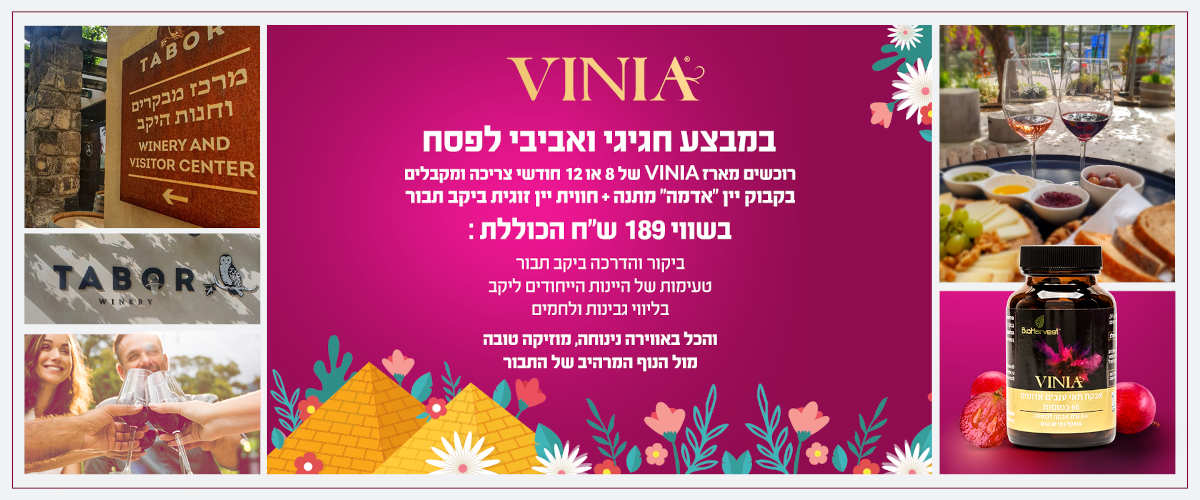 VINIA Promotion VINIA Promotion