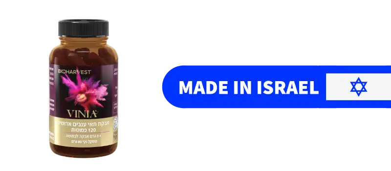 Popup Made in Israel