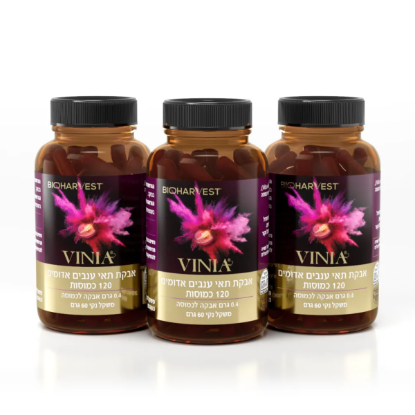 VINIA, 3 Bottles, 360 Caps, 12 Months