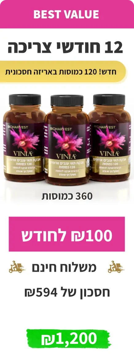 VINIA 12 Months, 360 Capsules