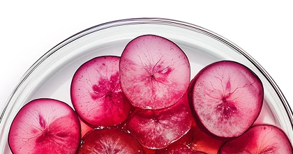 mobile-grapes-dish-bottom