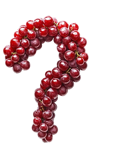 vinia-grapes-question