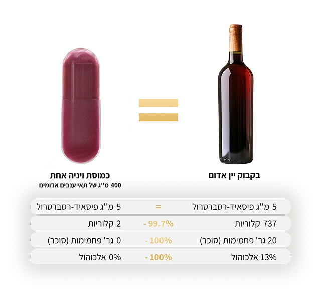 VINIA Capsule vs Bottle of Wine
