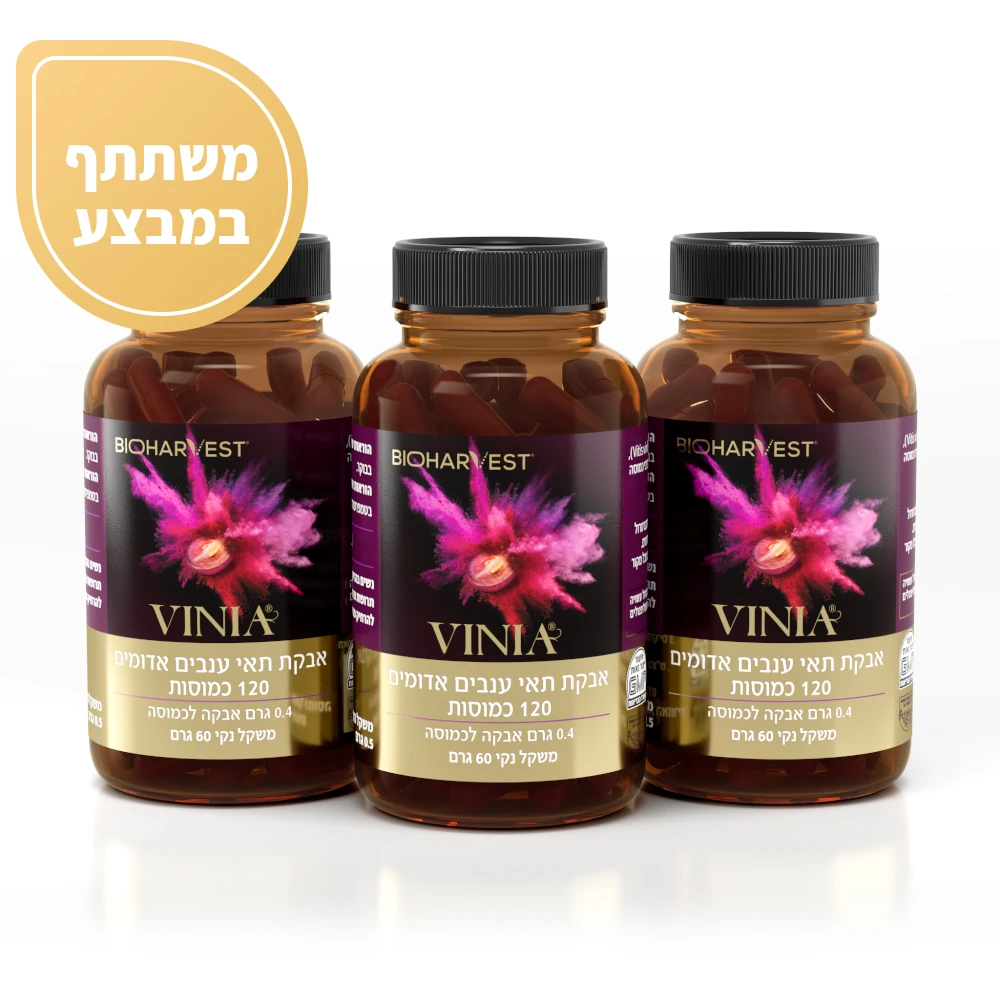 VINIA 12 month supply with David's Harp Hotel