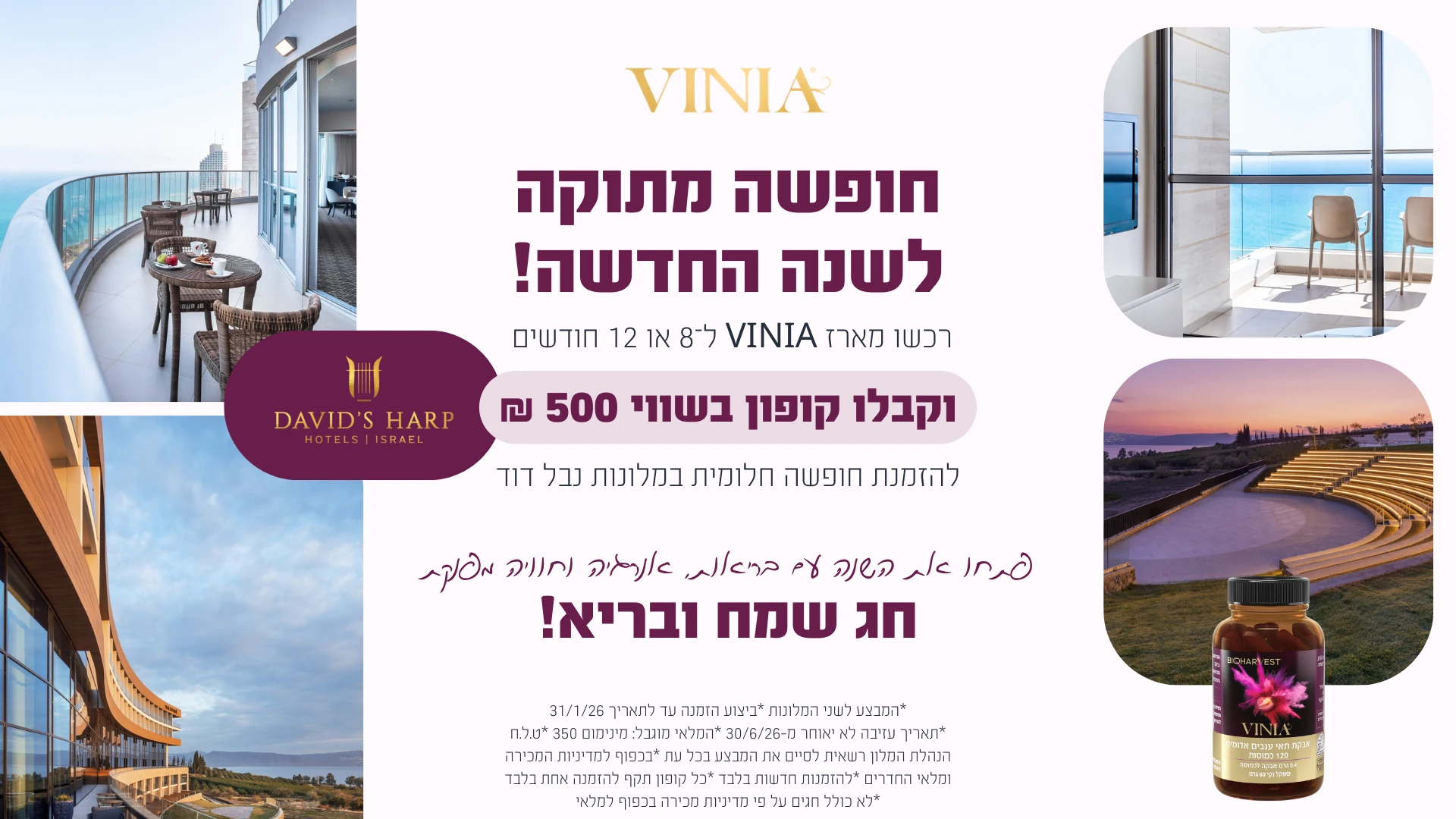 VINIA Davids Harp Hotels Promotion