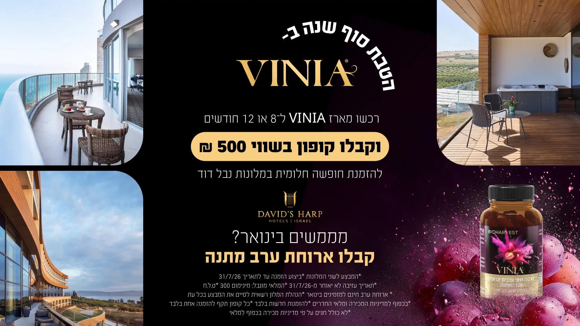 VINIA Davids Harp Hotel Promotion