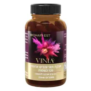 VINIA Bottle