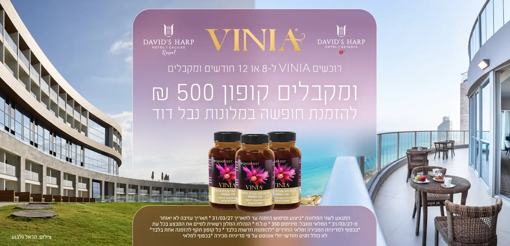 VINIA Davids Harp Hotel Promotion