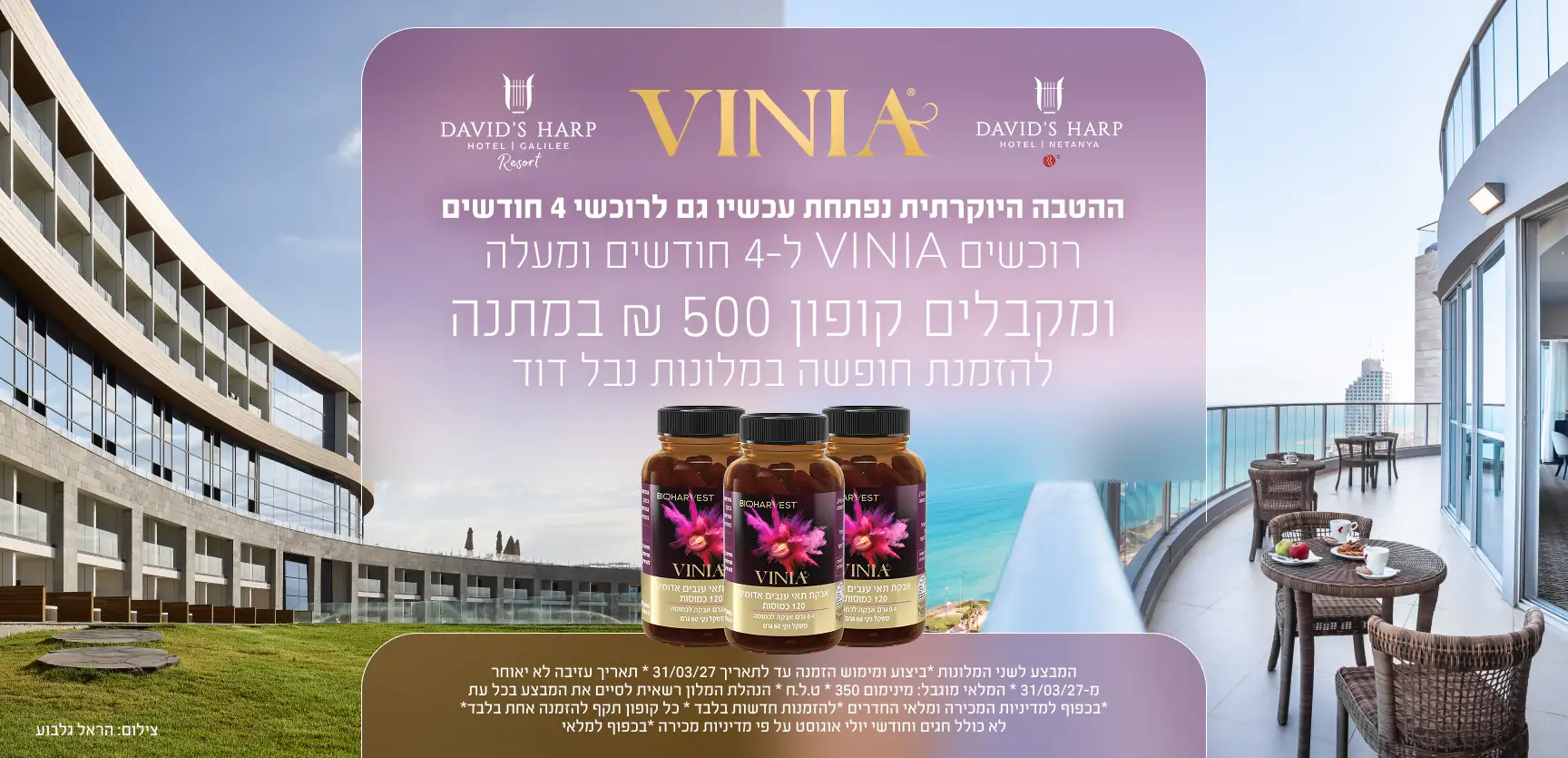 VINIA Davids Harp Hotel Promotion
